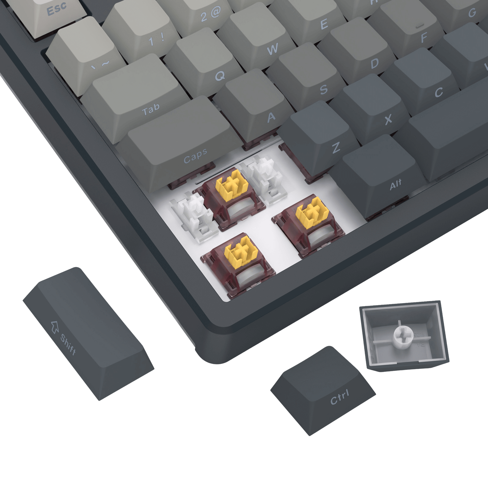Close-up of a mechanical keyboard with keycaps on a black background